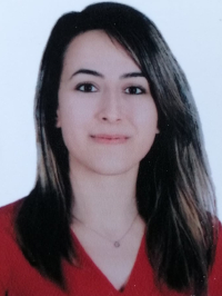 Nesrin Budak