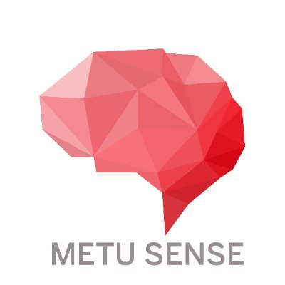 METU SENSE: Algısal Süreçler Laboratuvarı Logo